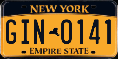 NY license plate GIN0141