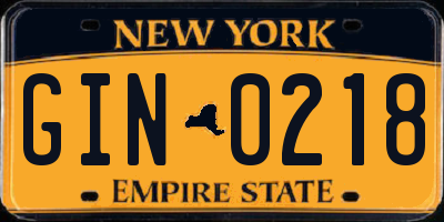 NY license plate GIN0218