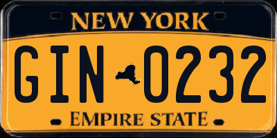 NY license plate GIN0232