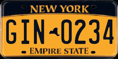NY license plate GIN0234