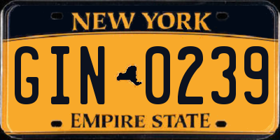 NY license plate GIN0239