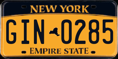 NY license plate GIN0285