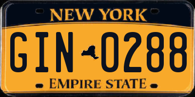 NY license plate GIN0288