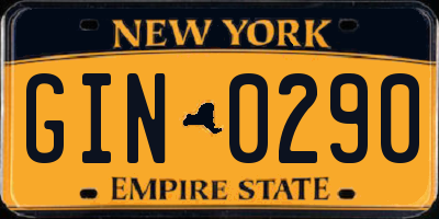 NY license plate GIN0290