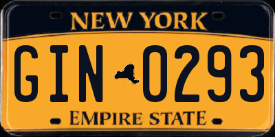 NY license plate GIN0293