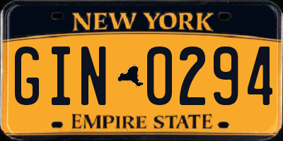 NY license plate GIN0294