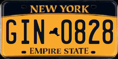 NY license plate GIN0828