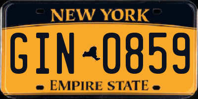 NY license plate GIN0859