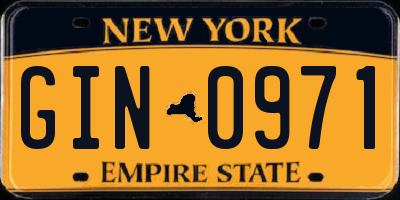 NY license plate GIN0971