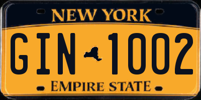 NY license plate GIN1002
