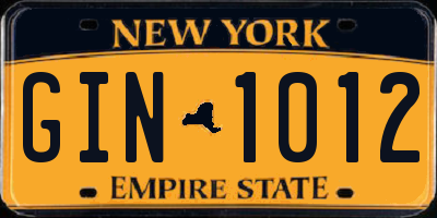 NY license plate GIN1012