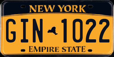 NY license plate GIN1022