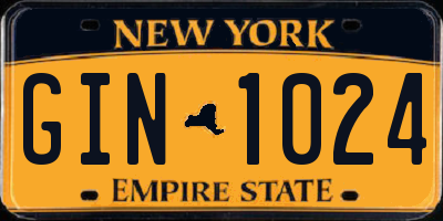 NY license plate GIN1024