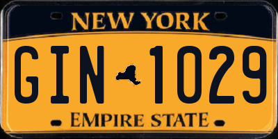 NY license plate GIN1029