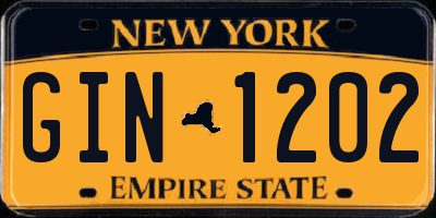 NY license plate GIN1202