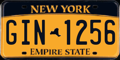 NY license plate GIN1256