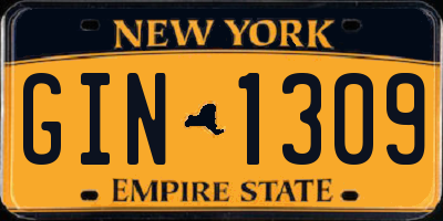 NY license plate GIN1309
