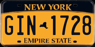 NY license plate GIN1728