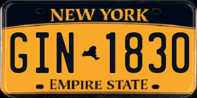 NY license plate GIN1830