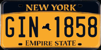 NY license plate GIN1858