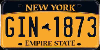 NY license plate GIN1873
