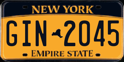 NY license plate GIN2045