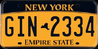 NY license plate GIN2334
