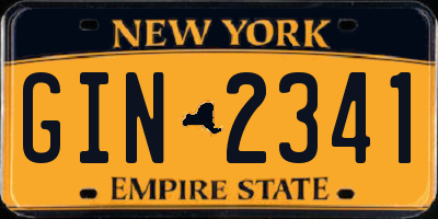 NY license plate GIN2341