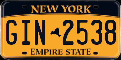 NY license plate GIN2538