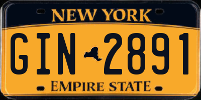 NY license plate GIN2891