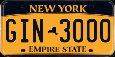 NY license plate GIN3000