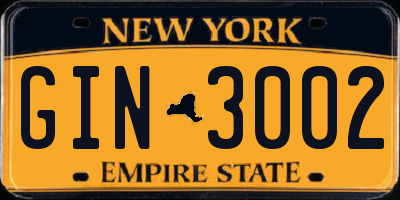 NY license plate GIN3002