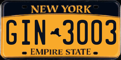 NY license plate GIN3003