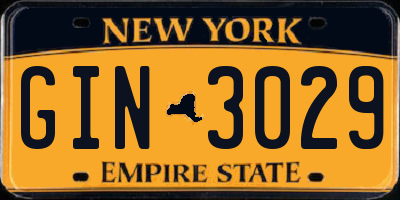 NY license plate GIN3029