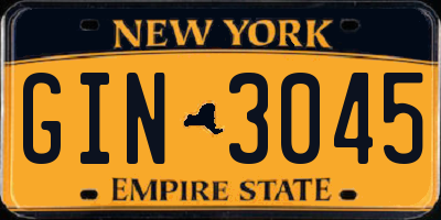 NY license plate GIN3045