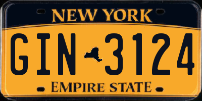 NY license plate GIN3124