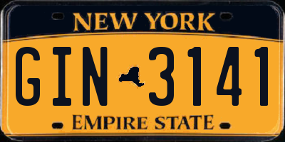 NY license plate GIN3141