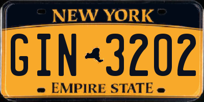 NY license plate GIN3202