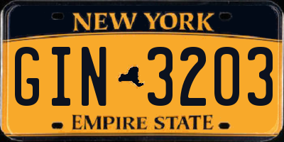 NY license plate GIN3203