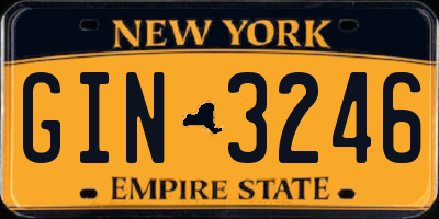 NY license plate GIN3246