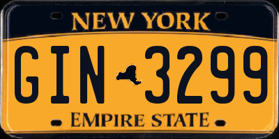 NY license plate GIN3299