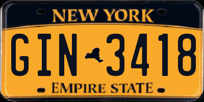 NY license plate GIN3418
