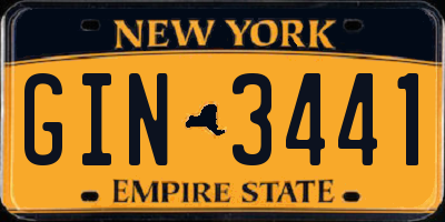 NY license plate GIN3441