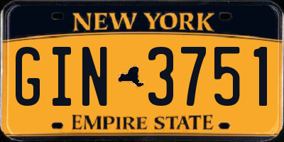 NY license plate GIN3751