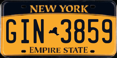 NY license plate GIN3859