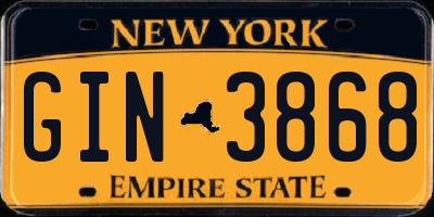 NY license plate GIN3868