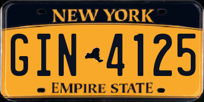 NY license plate GIN4125