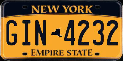 NY license plate GIN4232