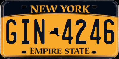 NY license plate GIN4246