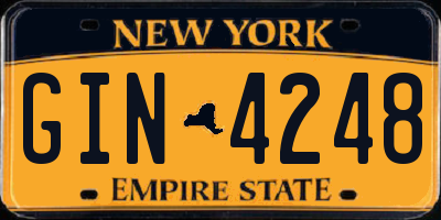 NY license plate GIN4248